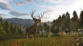 Way of the Hunter 2, Steam Gift