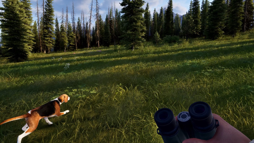 Way of the Hunter 2, Steam Gift