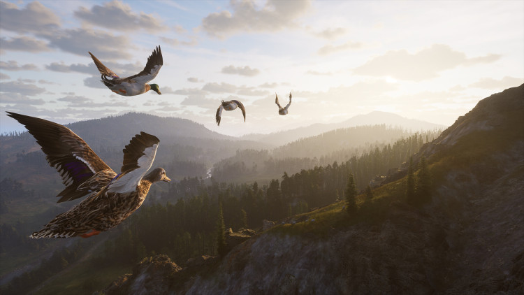 Way of the Hunter 2, Steam Gift