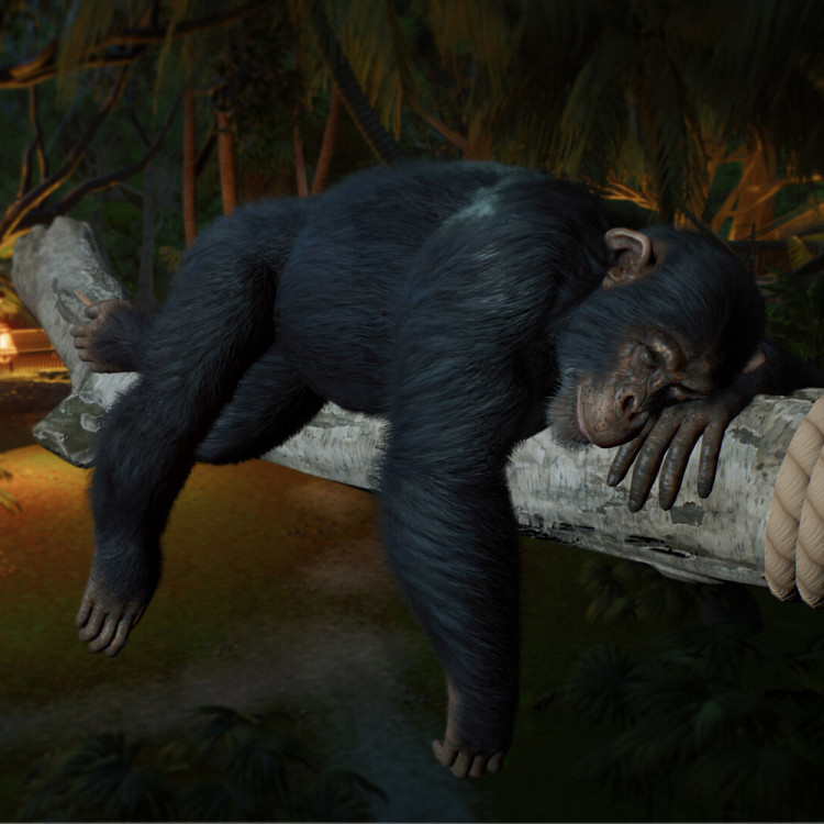 Planet Zoo 2 - Pre - Purchase, Steam Gift