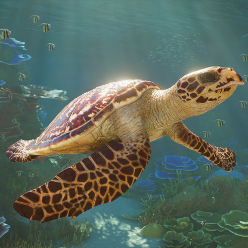 Planet Zoo 2 - Pre - Purchase, Steam Gift