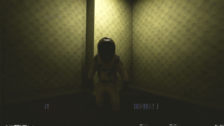 Backrooms Media, Steam Gift