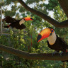 Planet Zoo 2 - Deluxe Edition - Pre - Purchase, Steam Gift