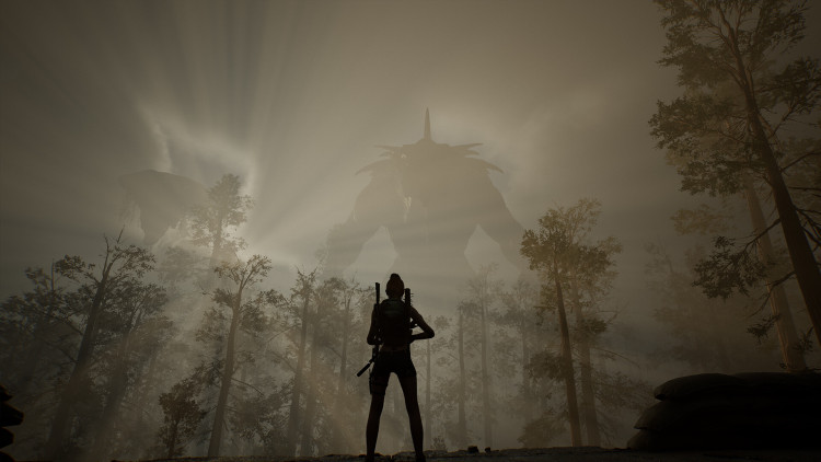 LIFE EFFECT Survival, Steam Gift