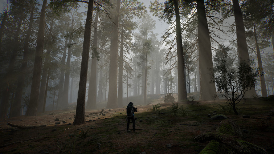 LIFE EFFECT Survival, Steam Gift