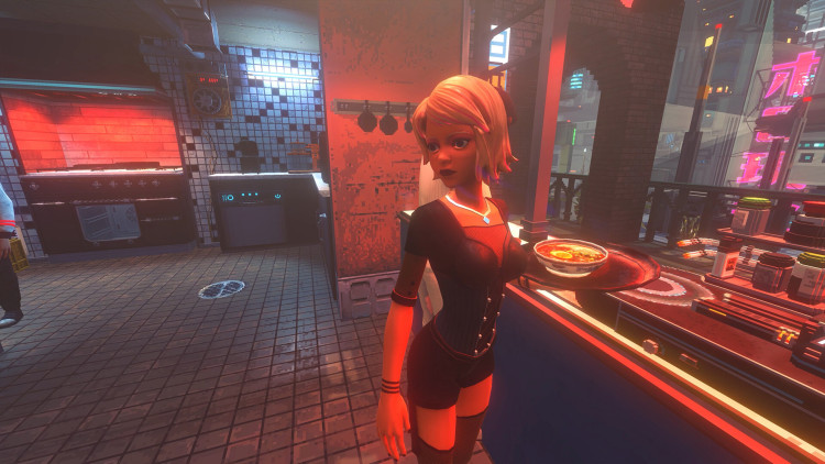 Nivalis Nights, Steam Gift