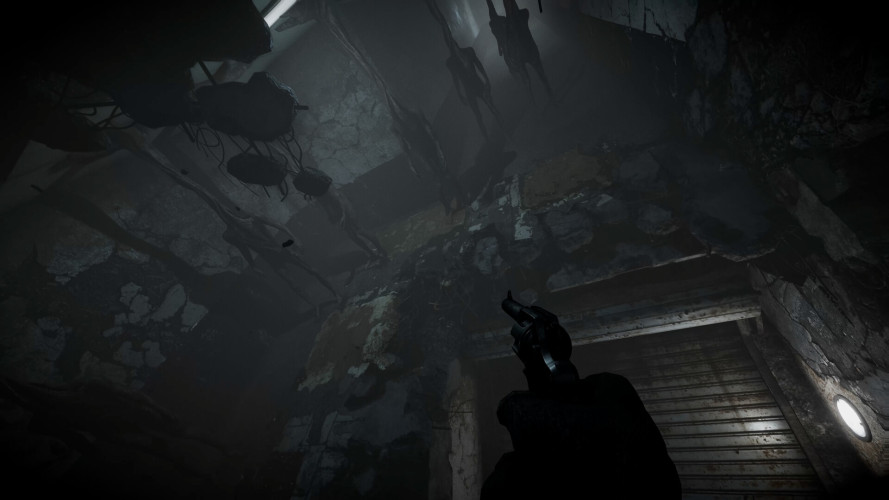 Total Chaos, Steam Gift