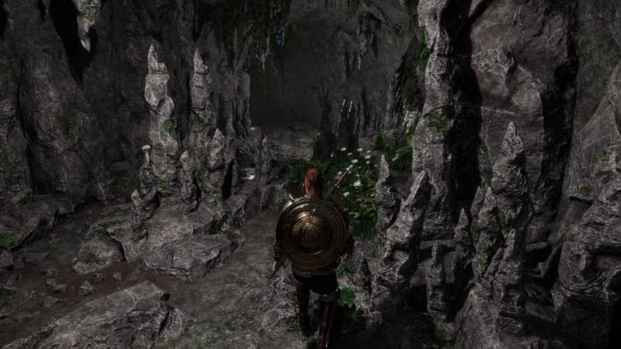 The Quinfall - Standard Edition, Steam Gift