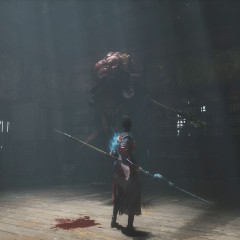 Игра WUCHANG: Fallen Feathers для PC / ПК, активация в стим Steam для региона РФ / Россия цифровой ключ