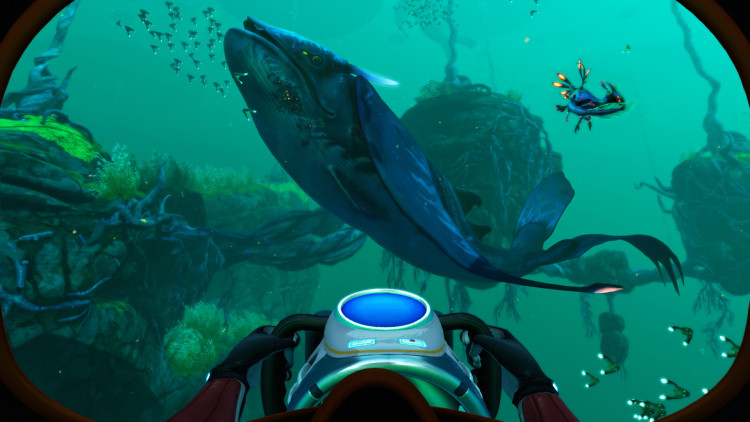 Subnautica: Below Zero, Steam Gift