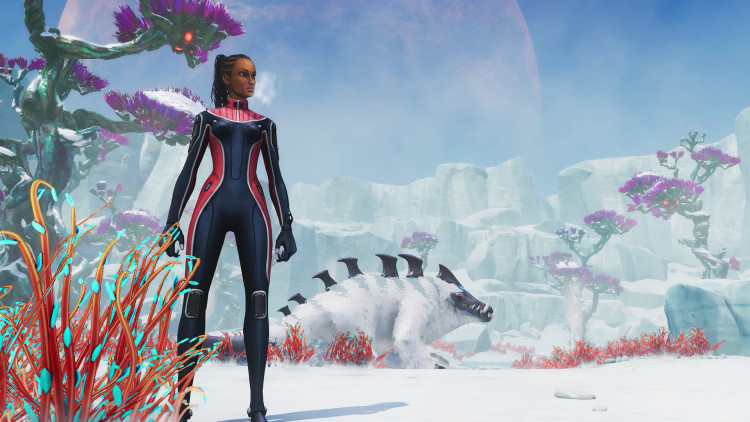 Subnautica: Below Zero, Steam Gift