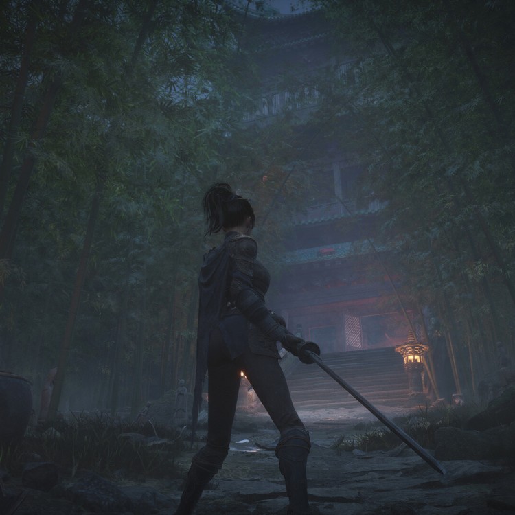 Игра WUCHANG: Fallen Feathers Deluxe Edition для PC / ПК, активация в стим Steam для региона РФ / Россия цифровой ключ