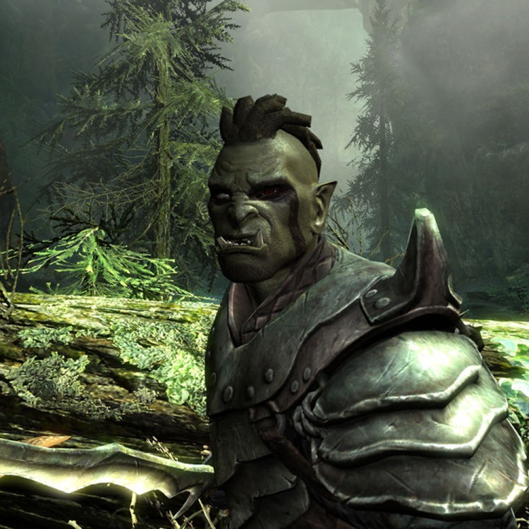 Игра The Elder Scrolls V: Skyrim для PC / ПК, активация в стим Steam для региона РФ / Россия цифровой ключ