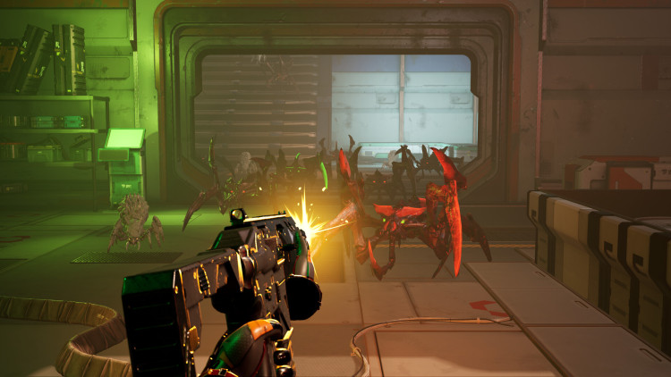 The Long Survival, Steam Gift