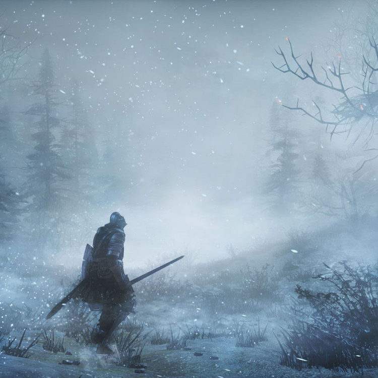 DLC Дополнение Dark Souls III - Ashes of Ariandel для PC / ПК, активация в стим Steam для региона РФ / Россия цифровой ключ