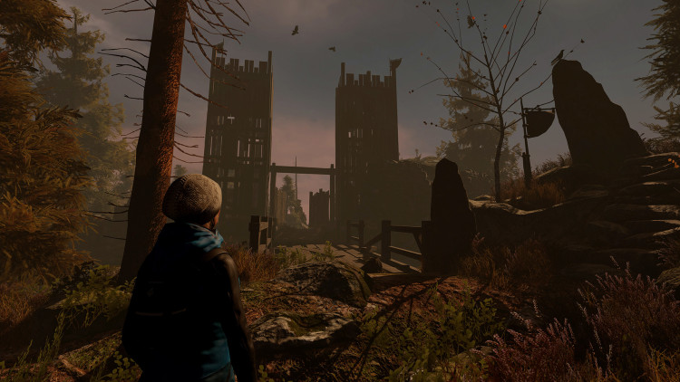 Through the Woods, Steam Gift