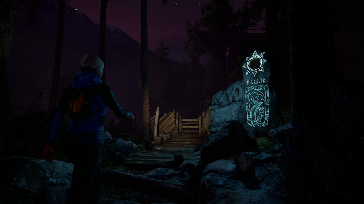 Through the Woods, Steam Gift