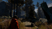Through the Woods, Steam Gift