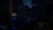 Through the Woods, Steam Gift