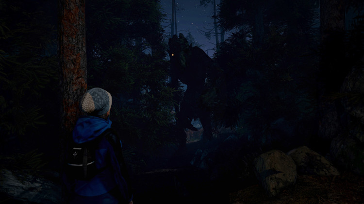 Through the Woods, Steam Gift