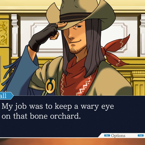 Игра Ace Attorney Anthology PC / ПК, активация в стим Steam для региона РФ / Россия цифровой ключ