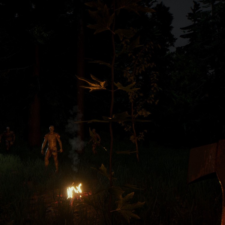 Игра The Forest PlayStation 4 и PlayStation 5