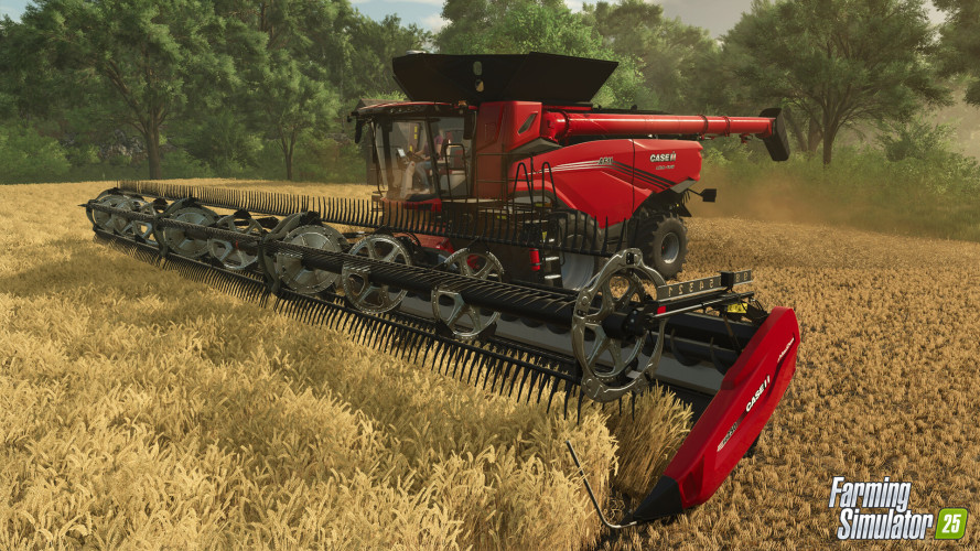 Farming Simulator 25, Steam Gift