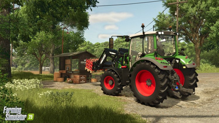 Farming Simulator 25, Steam Gift