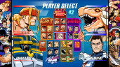 Capcom Fighting Collection 1 + 2 Bundle, Steam Gift