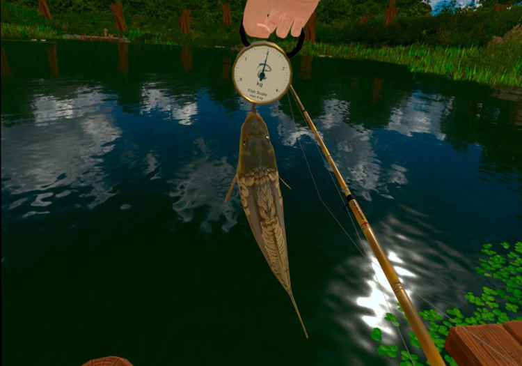 Fishing Party VR, Steam Gift