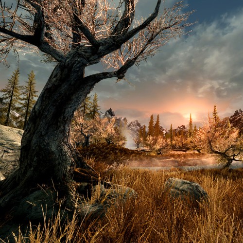 Игра The Elder Scrolls V: Skyrim VR PlayStation 4 и PlayStation 5