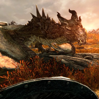 Игра The Elder Scrolls V: Skyrim VR PlayStation 4 и PlayStation 5