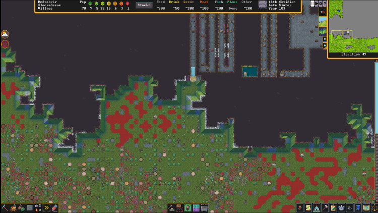 Dwarf Fortress, Steam Gift