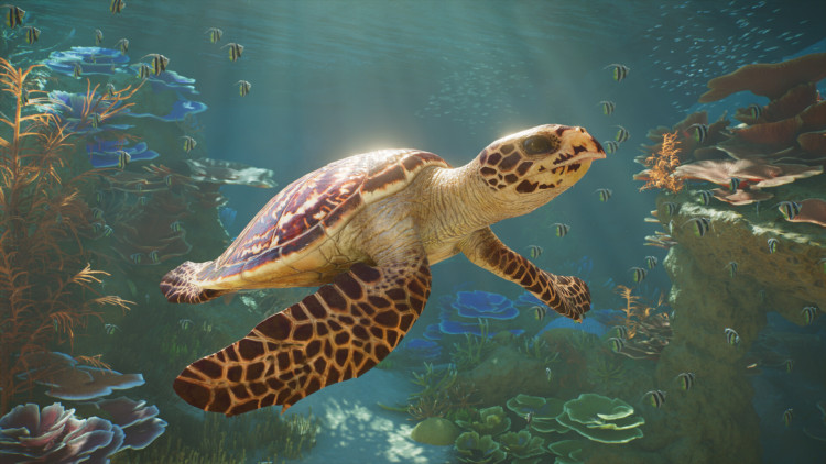 Planet Zoo 2, Steam Gift