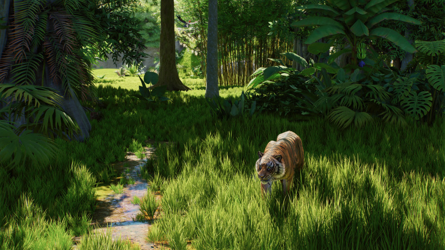 Planet Zoo 2, Steam Gift