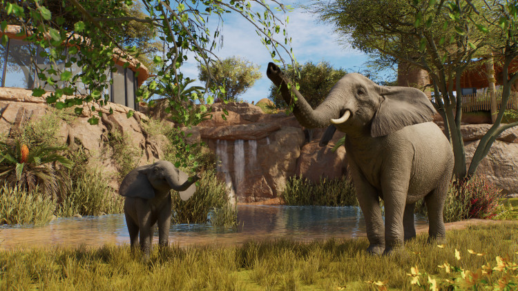 Planet Zoo 2, Steam Gift