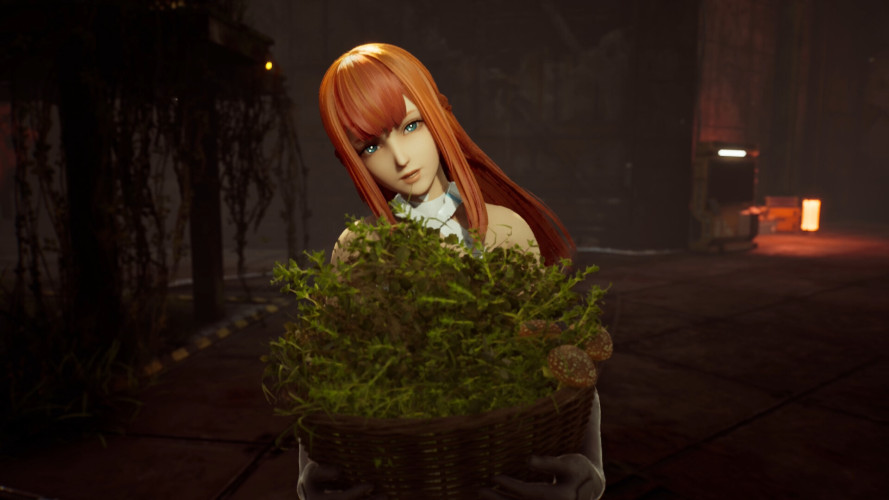 SYNDUALITY Echo of Ada, Steam Gift