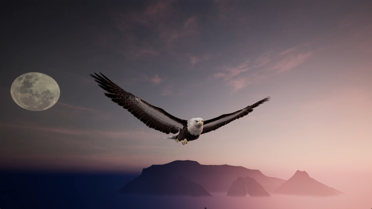 The Matchless Kungfu, Steam Gift