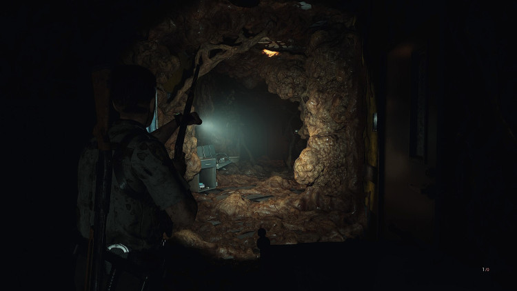 Fear The Timeloop, Steam Gift