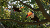 Planet Zoo 2 - Deluxe Edition, Steam Gift