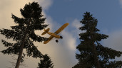 X-Plane 12, Steam Gift