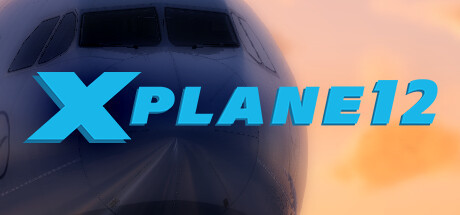 

X-Plane 12, Steam Gift