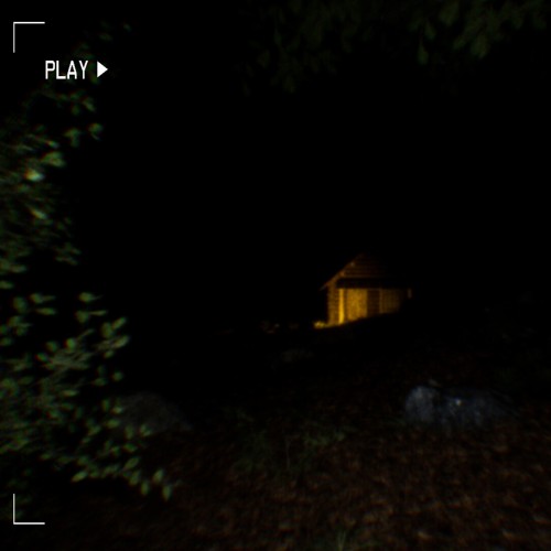 Игра INSIDE PlayStation 4 и PlayStation 5