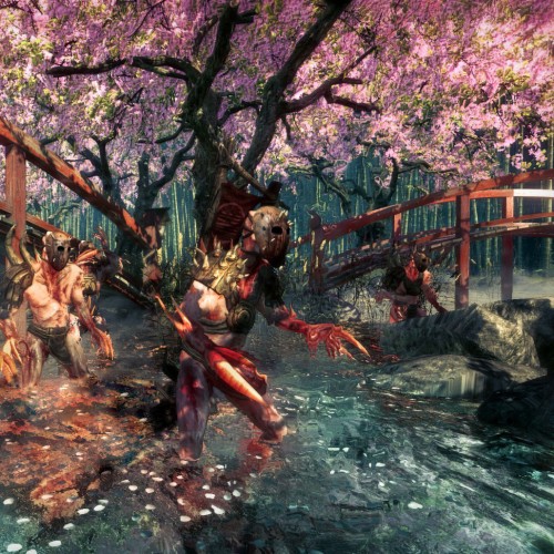 Игра Shadow Warrior (2013) для PC / ПК, активация в стим Steam для региона РФ / Россия цифровой ключ