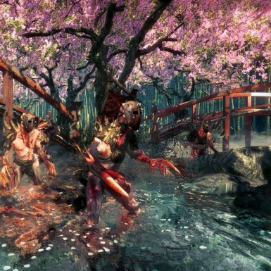 Игра Shadow Warrior (2013) для PC / ПК, активация в стим Steam для региона РФ / Россия цифровой ключ