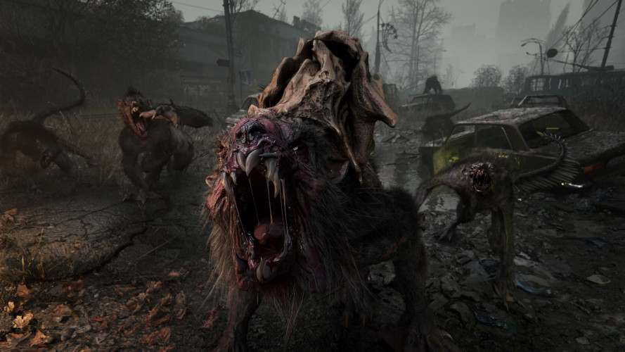METRO 2039, Steam Gift