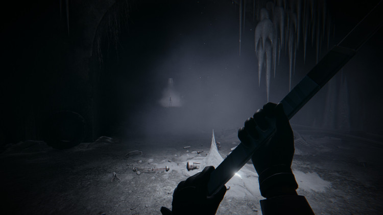 Hail to the Rainbow, Steam Gift