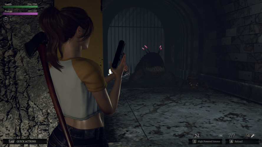 Wicked Seed, Steam Gift