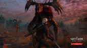The Witcher 3: Wild Hunt, Steam Gift