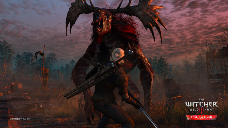 The Witcher 3: Wild Hunt, Steam Gift